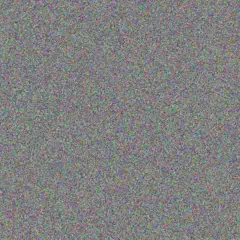 Neil Hughes lilly bailey