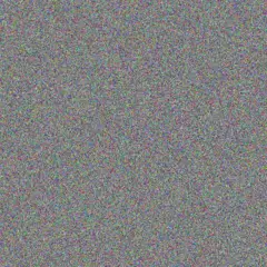 Next Salie gugulethu le roux