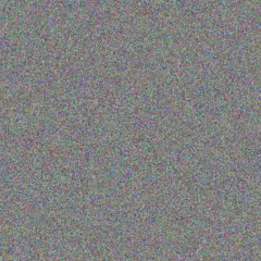 Nhlanhla Botha moses wessels