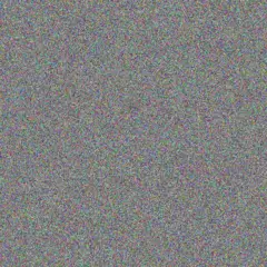 Nicholas Bouwer vernon francis