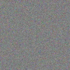 Nicola Moyo etienne bothma