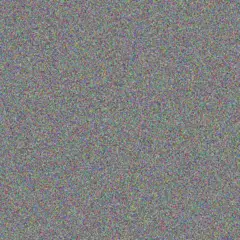 Nicola Moyo yolanda van niekerk