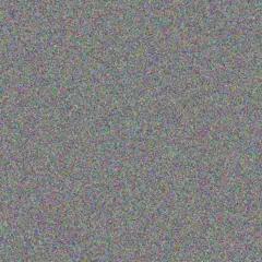 Nicole Pule kgomotso van aswegen