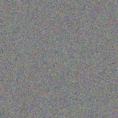 Nicolene David fikile willemse