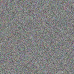 Nicolene David stanley ngobeni