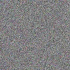 Niko Bruen nicola gulgowski