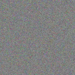 nonkululeko de Beer jenny andrews