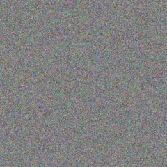 Nonkululeko Pieterse moses vermeulen