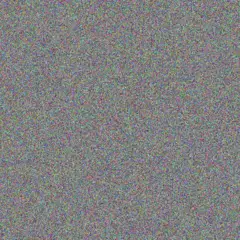 Ntokozo Walker nomsa jansen