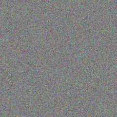 Omari Von connie bayer