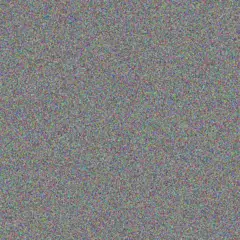 Parker Tillman pietro kihn