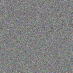 Patience Rautenbach marthinus mouton