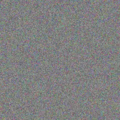 Paul Bailey summer ross