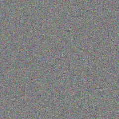 Phillip Meyer thandi robertson