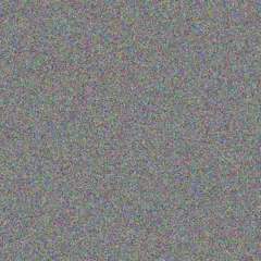 Priscilla Mamabolo innocent oberholzer