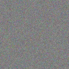 Quentin Kelly suzanne knight