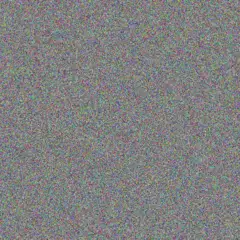 Rachel Chauke barbara ngema