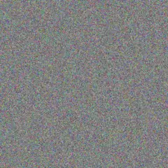 Rebecca Van Wyk grant prinsloo