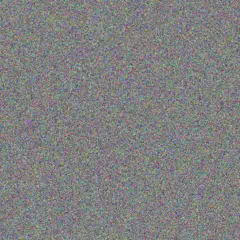 Rebecca Van Wyk nozipho xulu