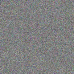 Rebecca Van Wyk zandile basson