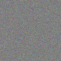 Rebeka Lubowitz cameron o reilly