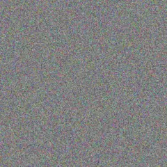 Refiloe De Wet bianca alexander