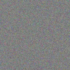 Rene Joubert nompumelelo moagi