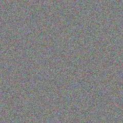 Reyna Klein tania prosacco