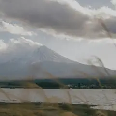 Rick Sanchez pexels mavimiro