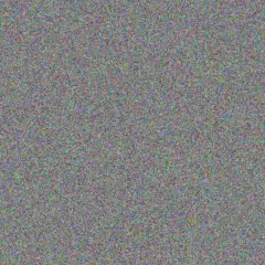 Rita Dibbert jairo hauck