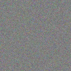 Rodney Muller shirley details