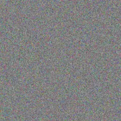 Rodney Van Eeden next baker