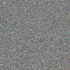 Roxanne Du Preez kgomotso mogale