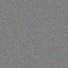 Roxanne Du Preez lisa hadebe