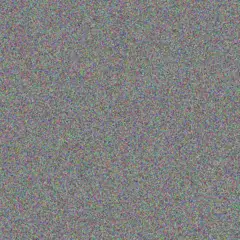 Saige Armstrong friedrich kirlin