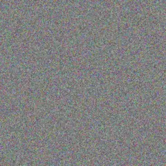 Samantha Meyer nozipho steyn