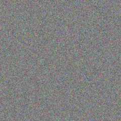 Sandile Mohamed nicolene davis