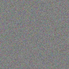 Sarah Kruger nonkululeko padayachee