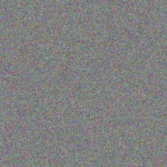 Scarlett Hammes dina schultz