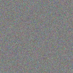 Shane Louw lloyd edwards