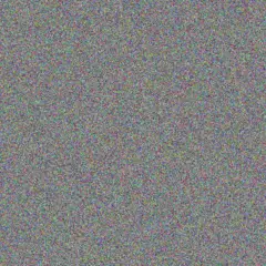 Shanie Shanahan elinor willms