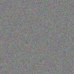 Sibongile Hugo anthony roos