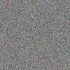 Siphokazi Els ashley van schalkwyk