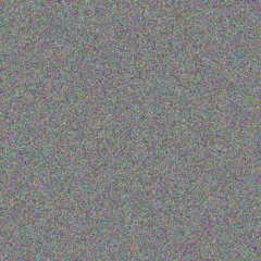 Siphokazi Ncube ahmed masuku