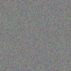 Siphokazi Ncube shawn terblanche