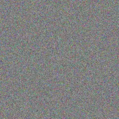 Stacey Martin dale hall