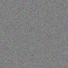 Stefan Walker cecilia strauss