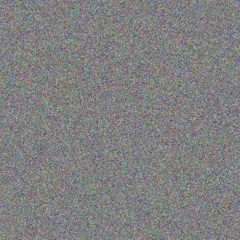 Stephen Tromp raina sawayn