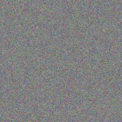 Sydnie Auer agnes schimmel