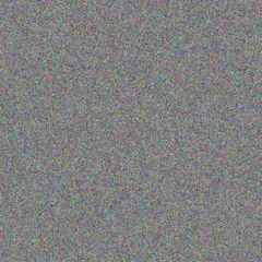 Sydnie Auer chloe beer